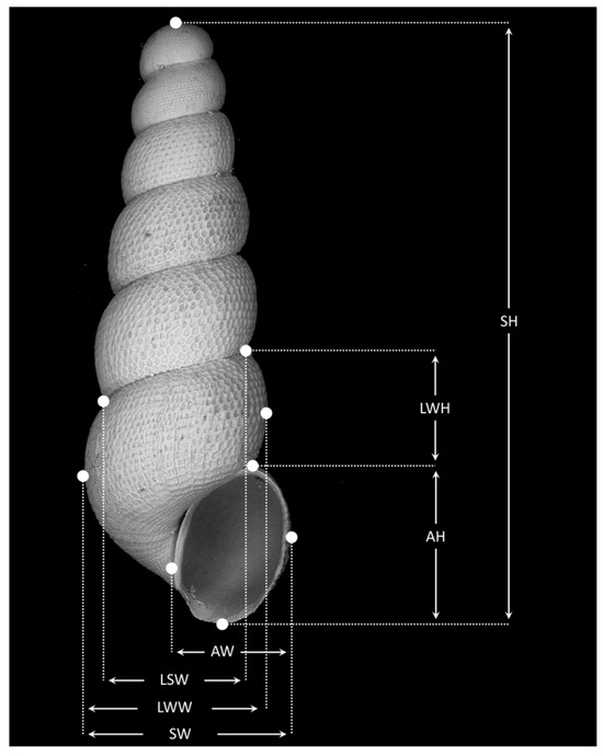 Diversity 16 00050 g0a1