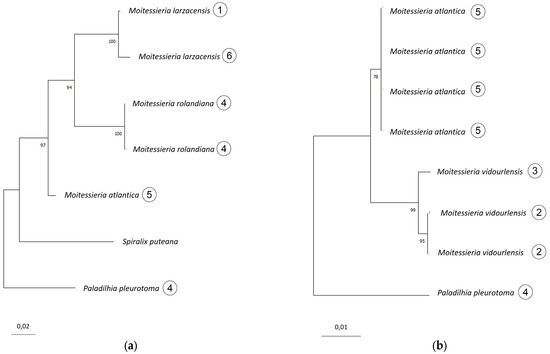 Diversity 16 00050 g0a4