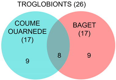 Diversity 16 00062 i001