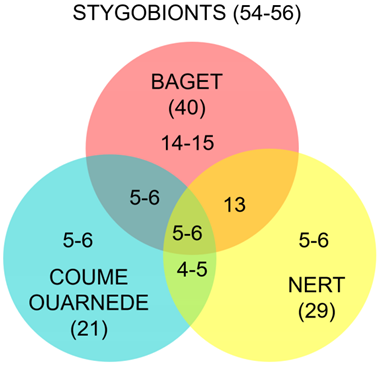 Diversity 16 00062 i002