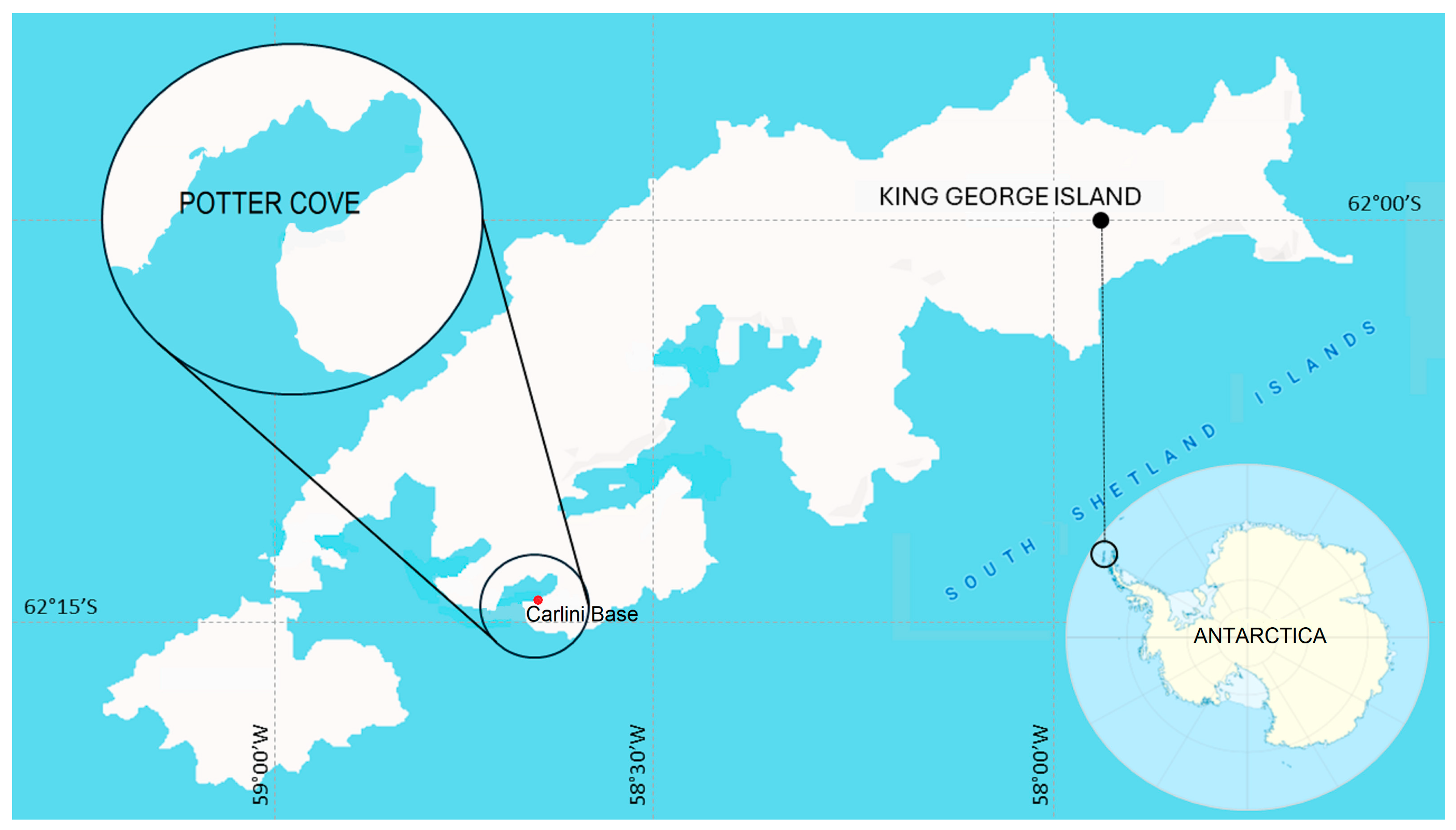 Diversity 16 00063 g001