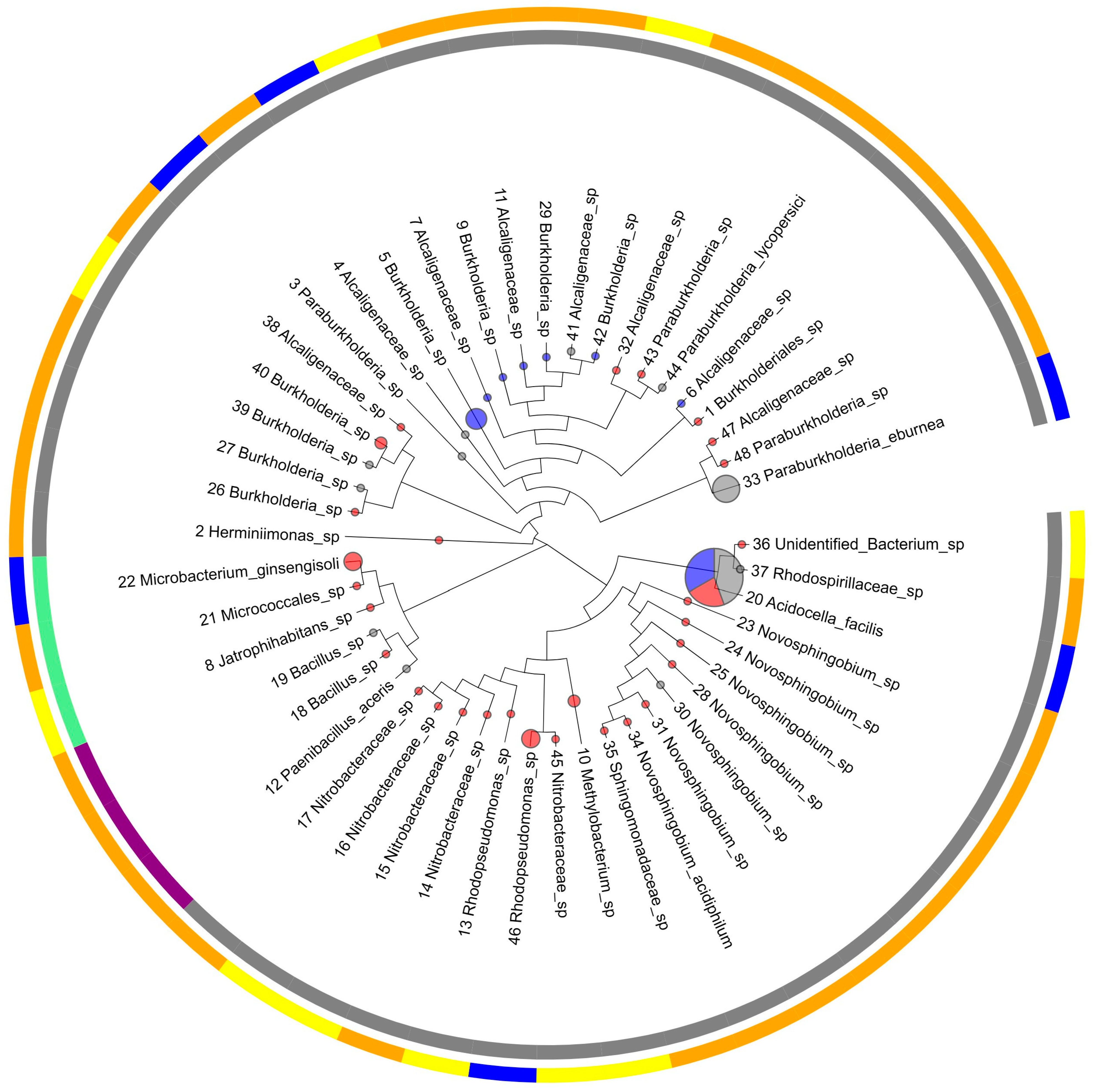 Diversity 16 00077 g003