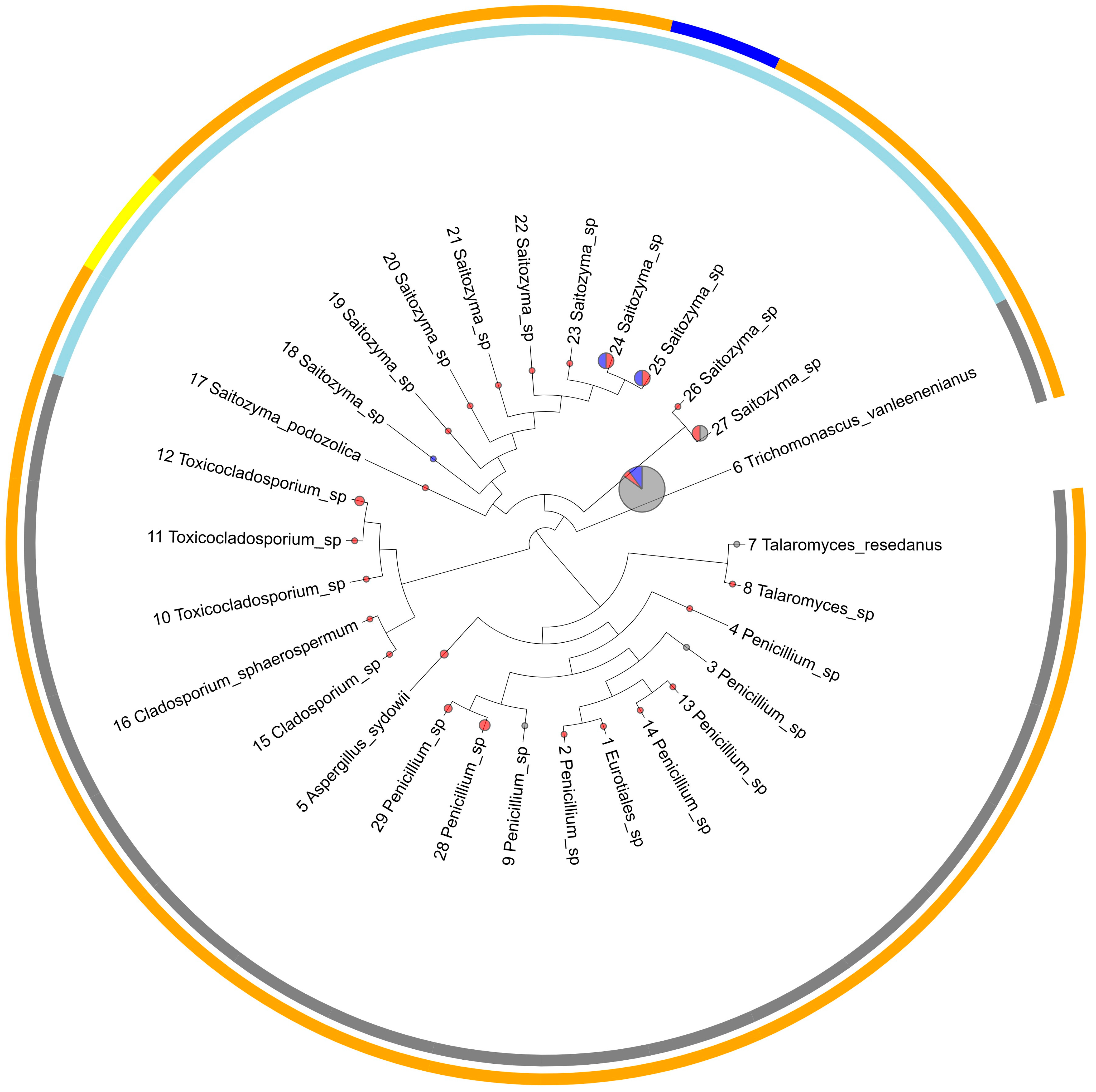 Diversity 16 00077 g004