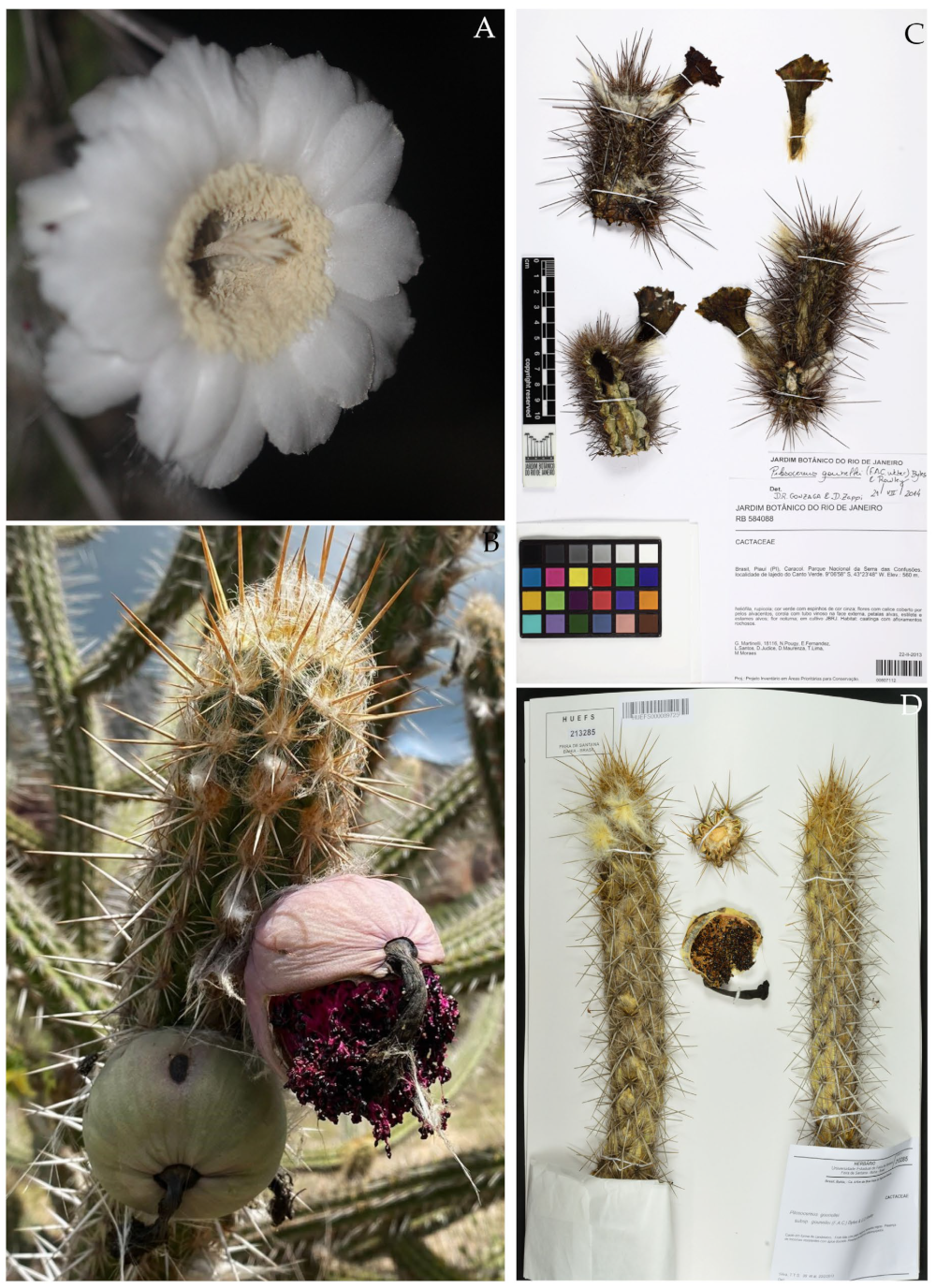 Diversity 16 00079 g002