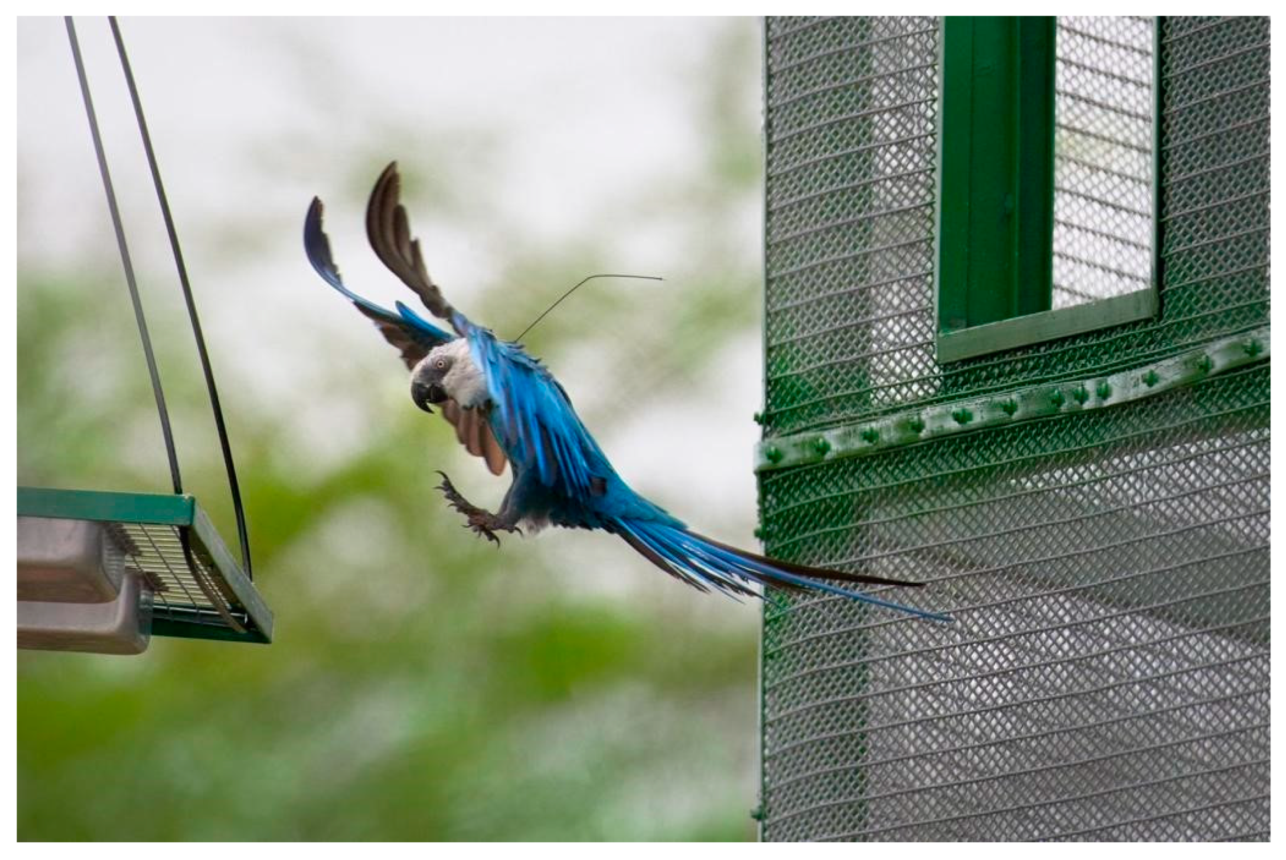 Diversity 16 00080 g003