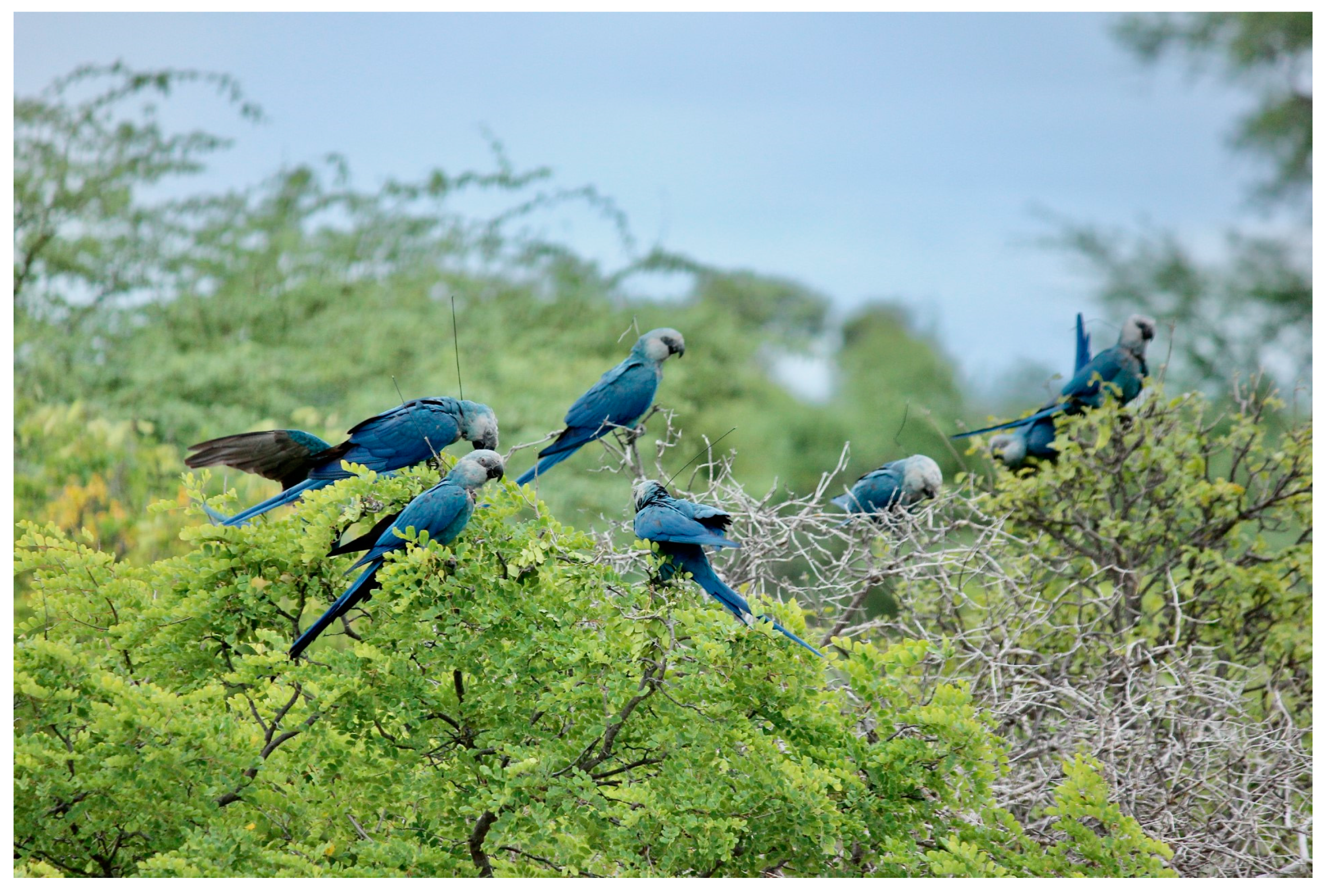 Diversity 16 00080 g005