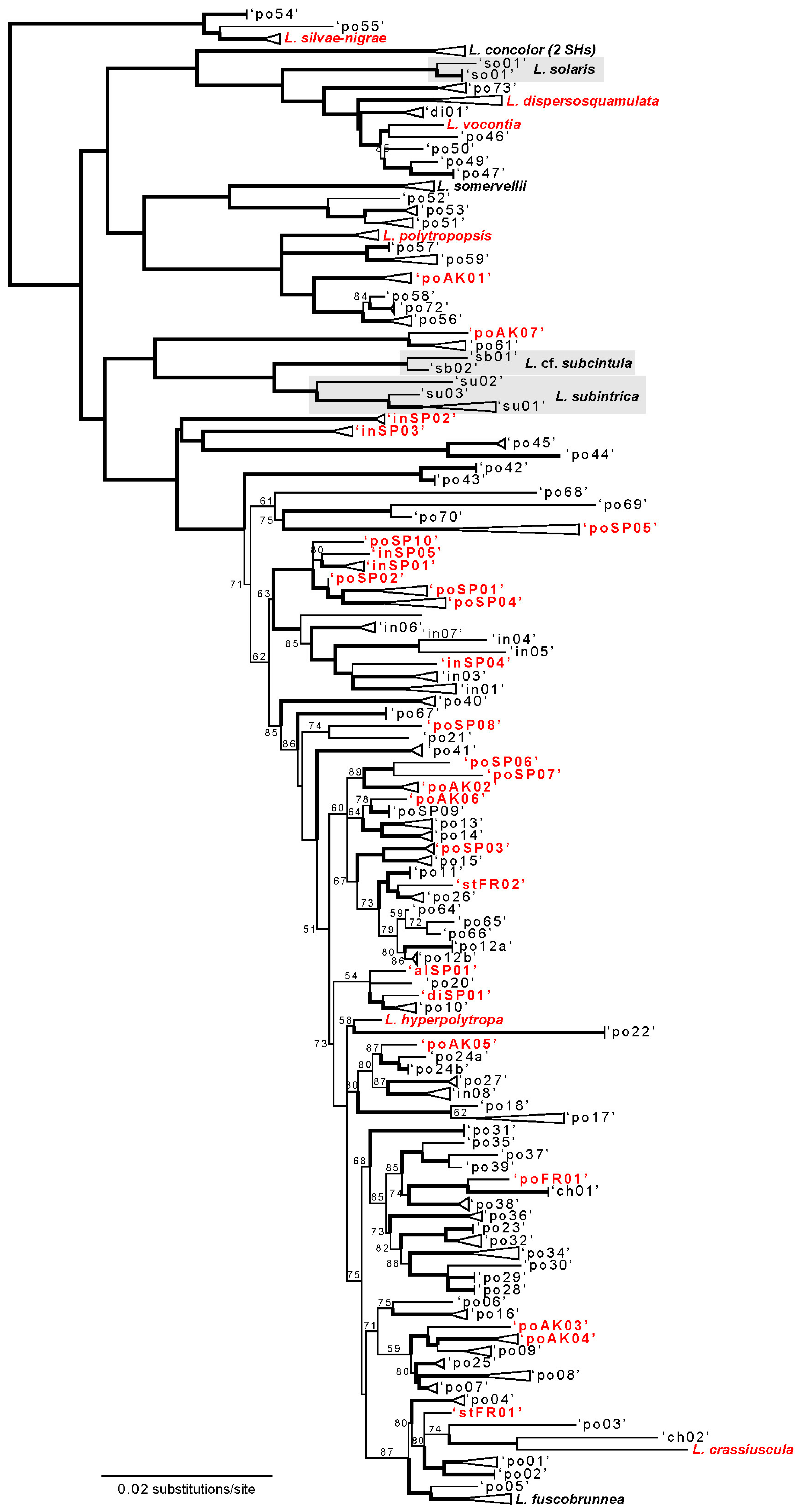 Diversity 16 00088 g002