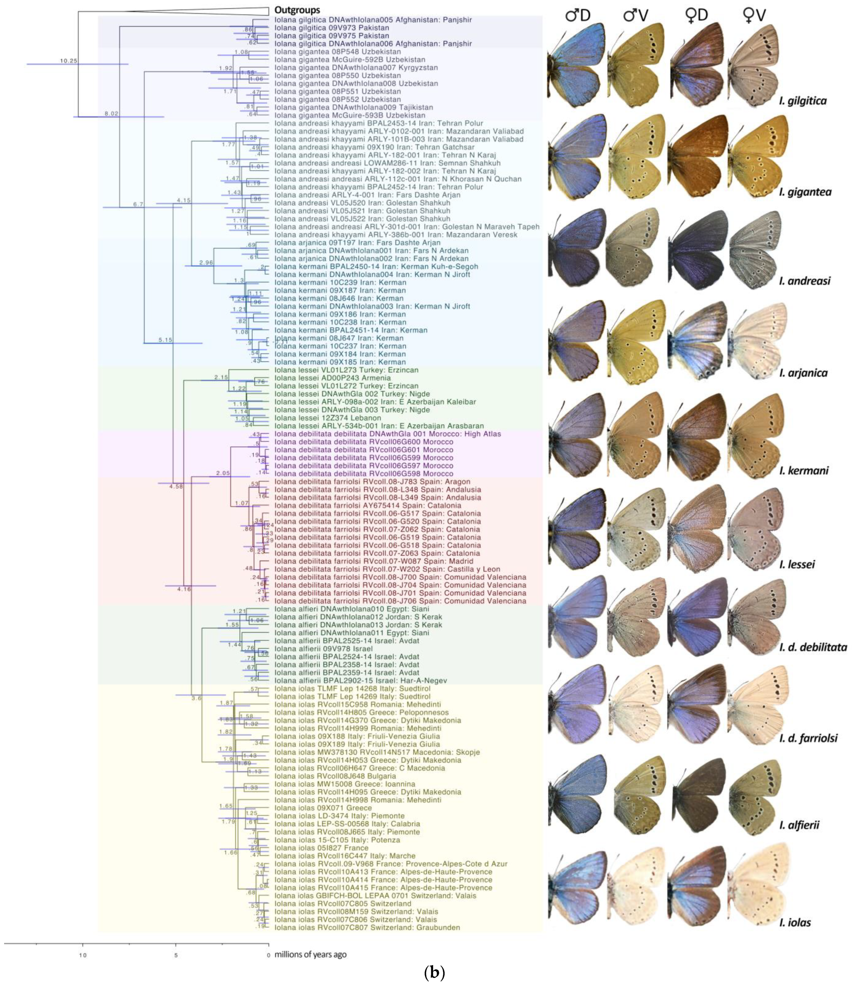 Diversity 16 00089 g001b