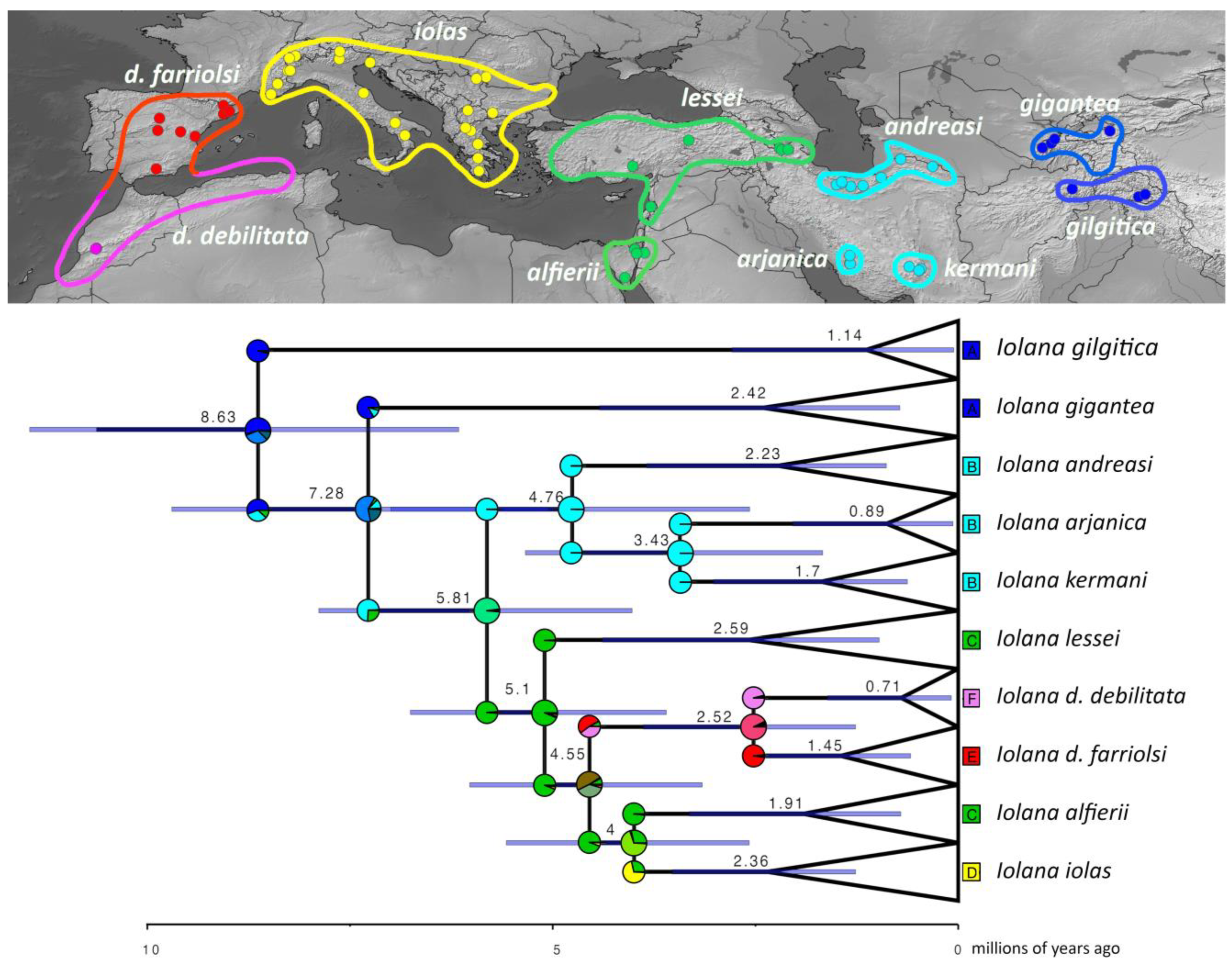 Diversity 16 00089 g002
