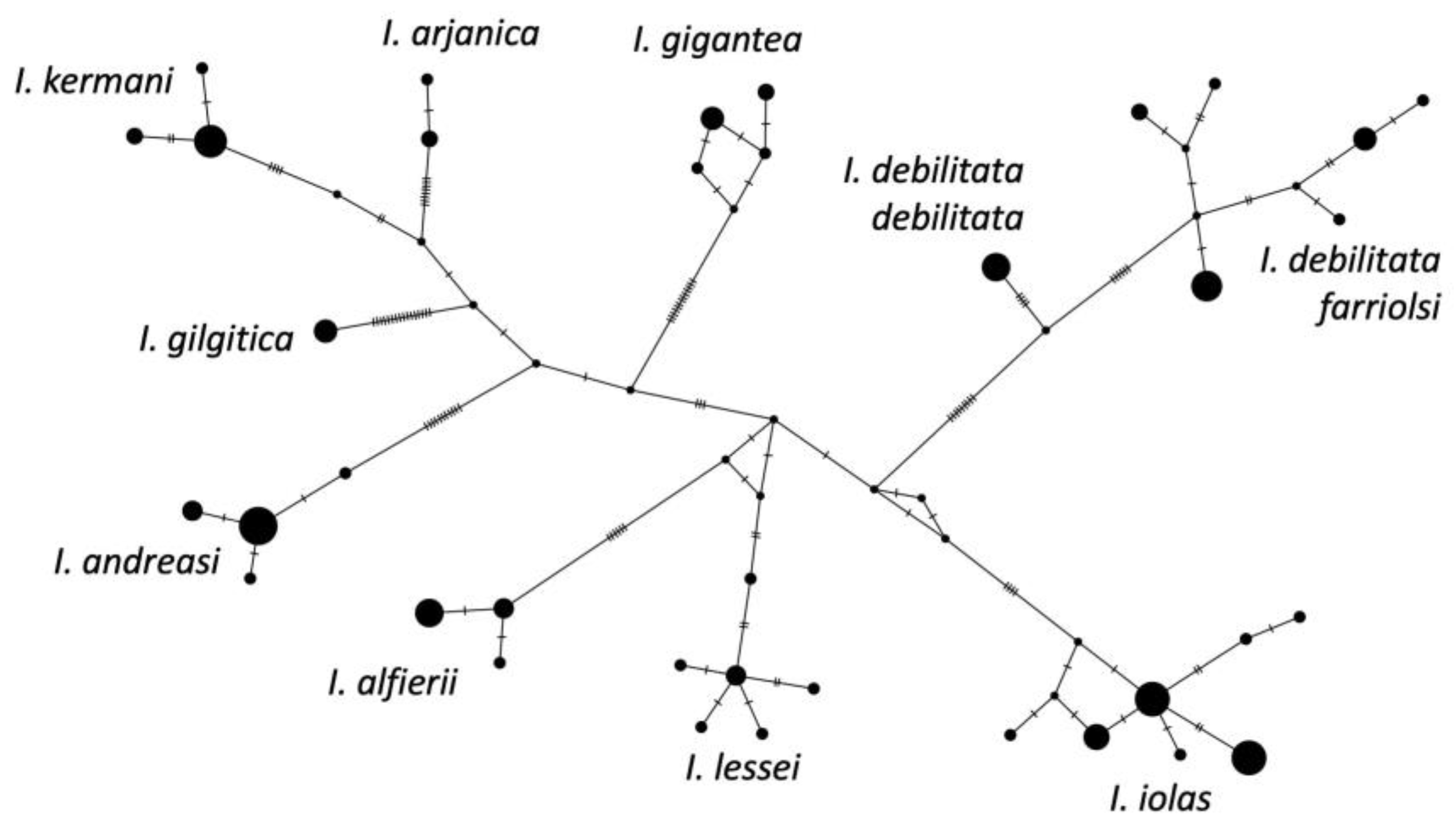 Diversity 16 00089 g003
