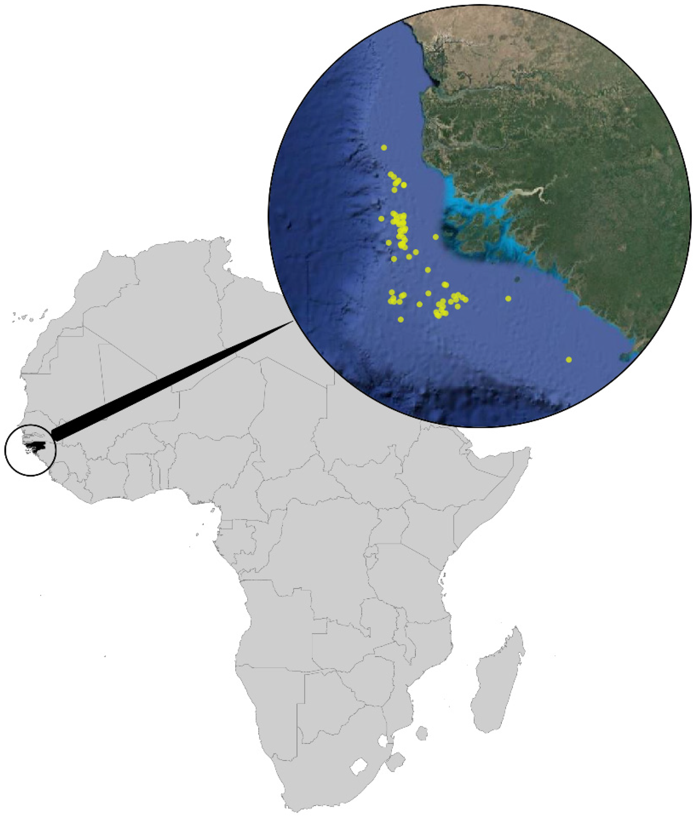 Diversity 16 00093 g001