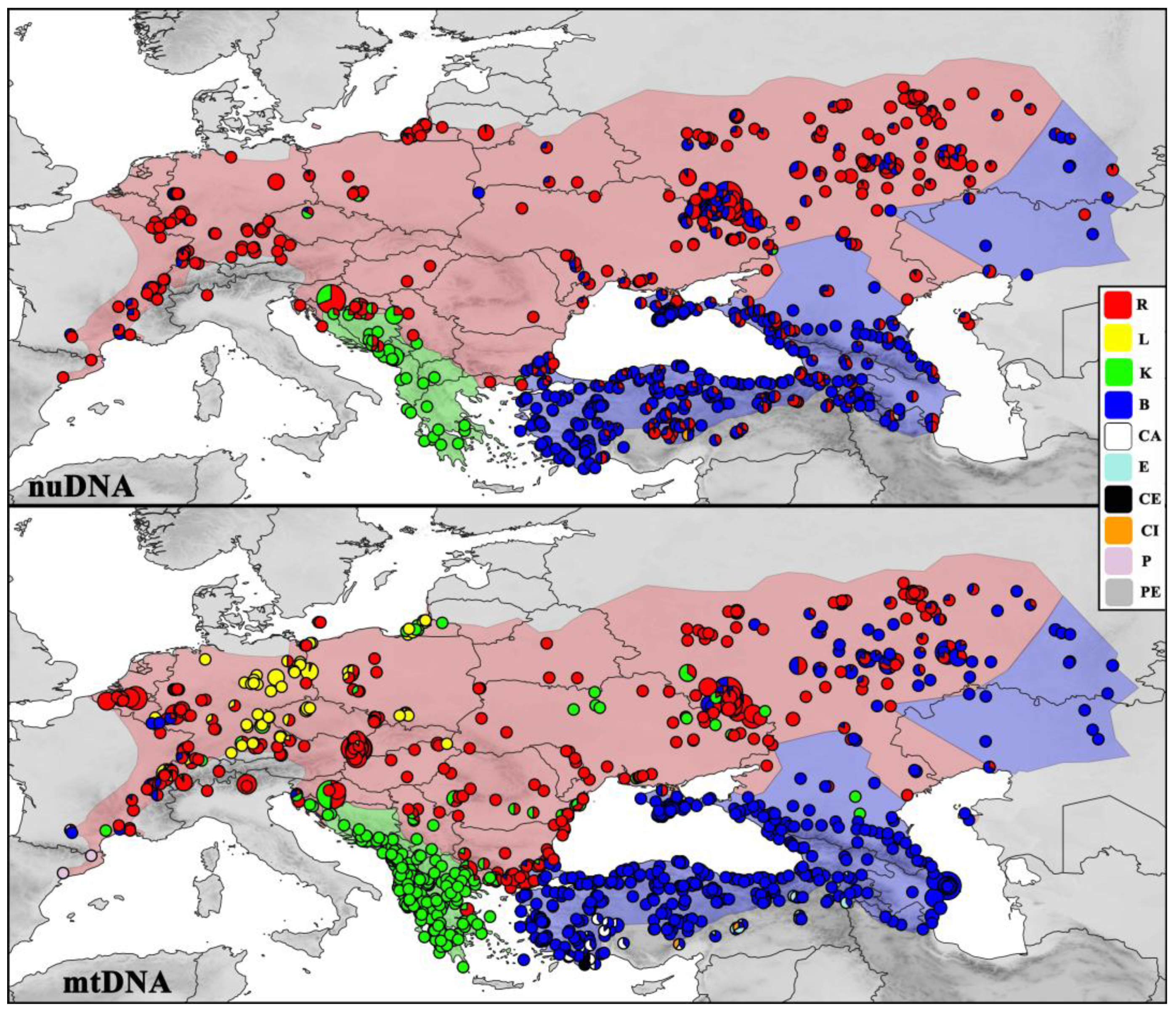 Diversity 16 00094 g001