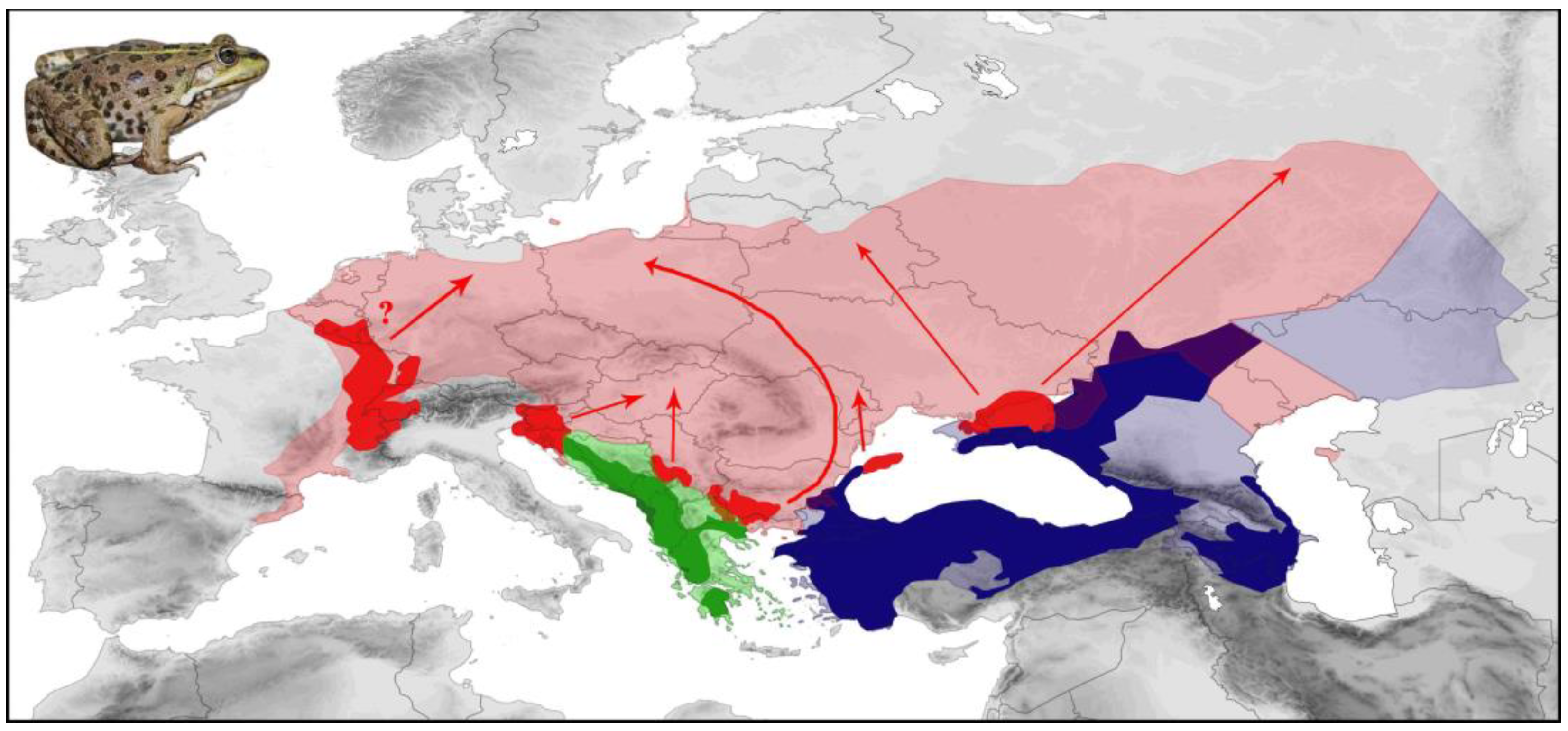 Diversity 16 00094 g006