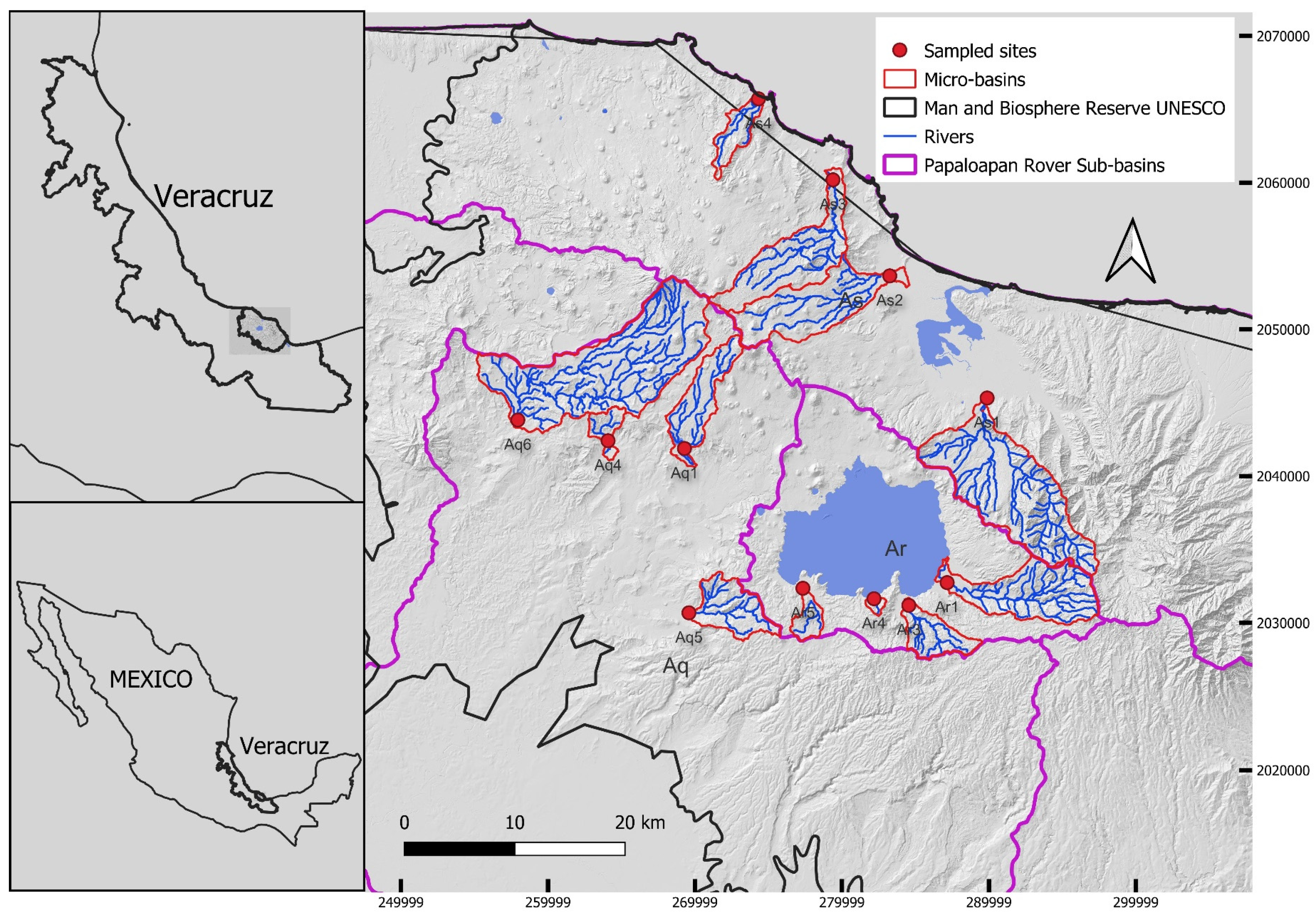 Diversity 16 00103 g001