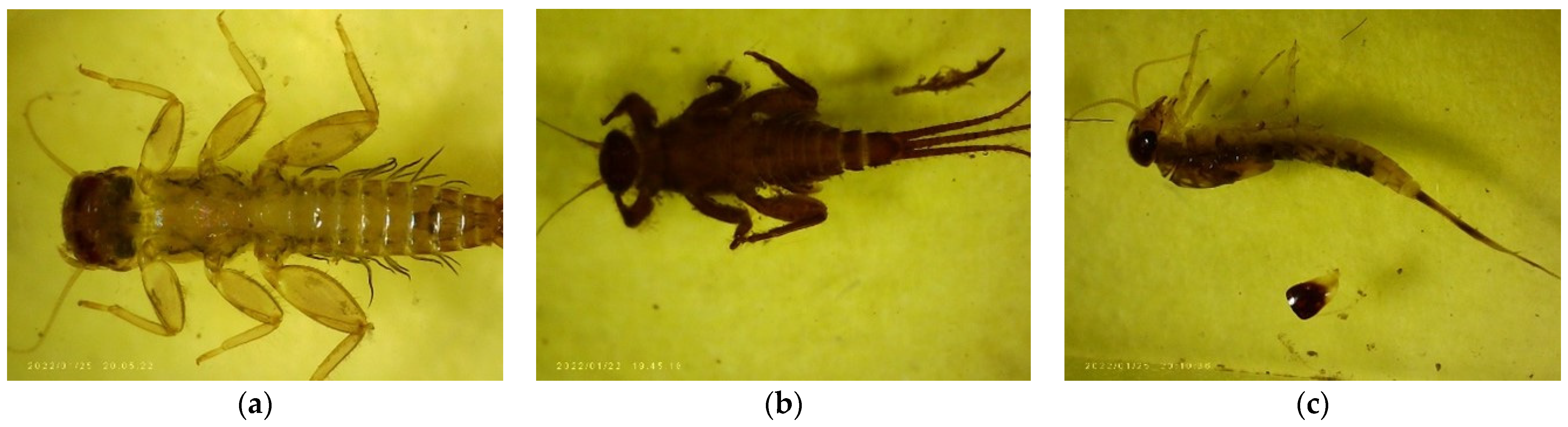 Diversity 16 00103 g0a1