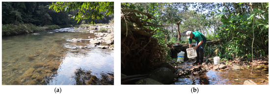 Diversity 16 00103 g0a12