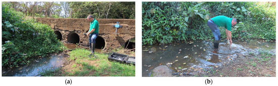 Diversity 16 00103 g0a13