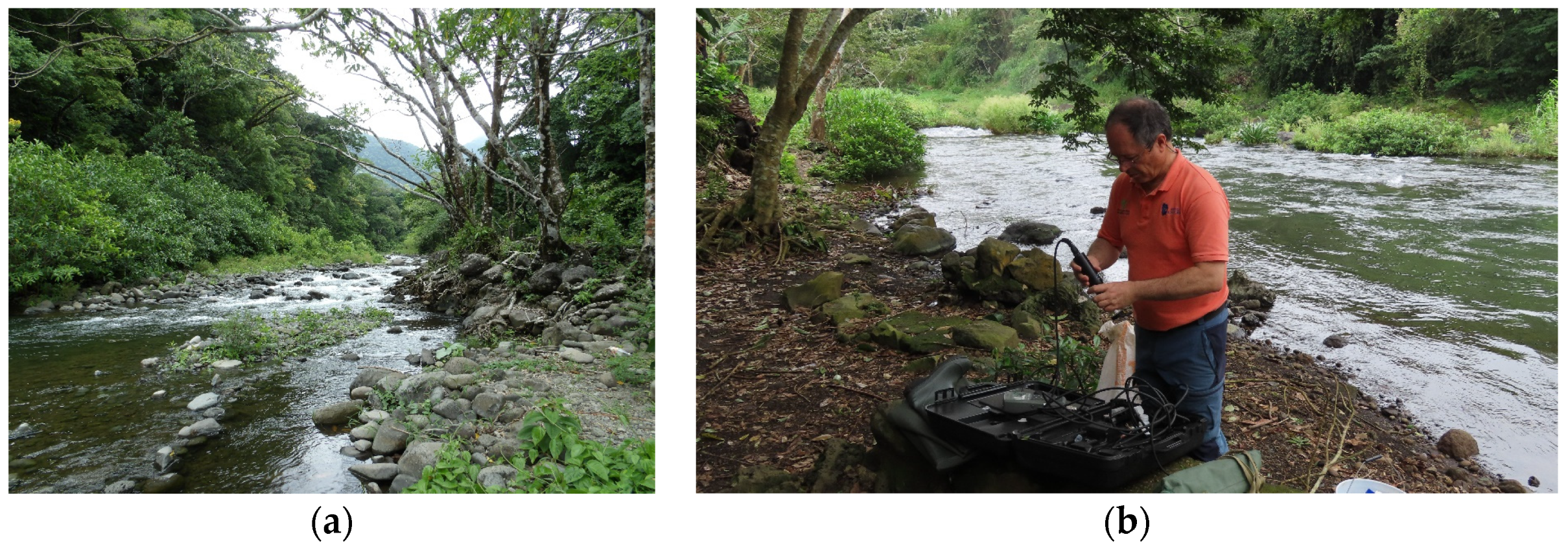 Diversity 16 00103 g0a14