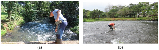 Diversity 16 00103 g0a15