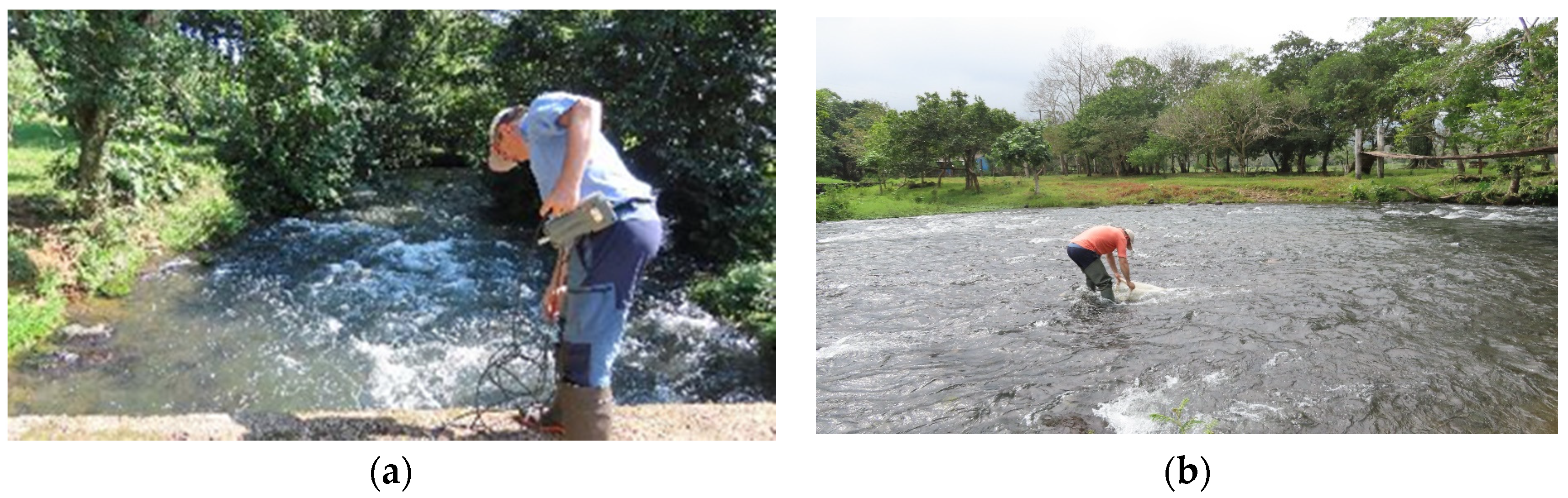 Diversity 16 00103 g0a15