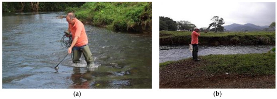 Diversity 16 00103 g0a16