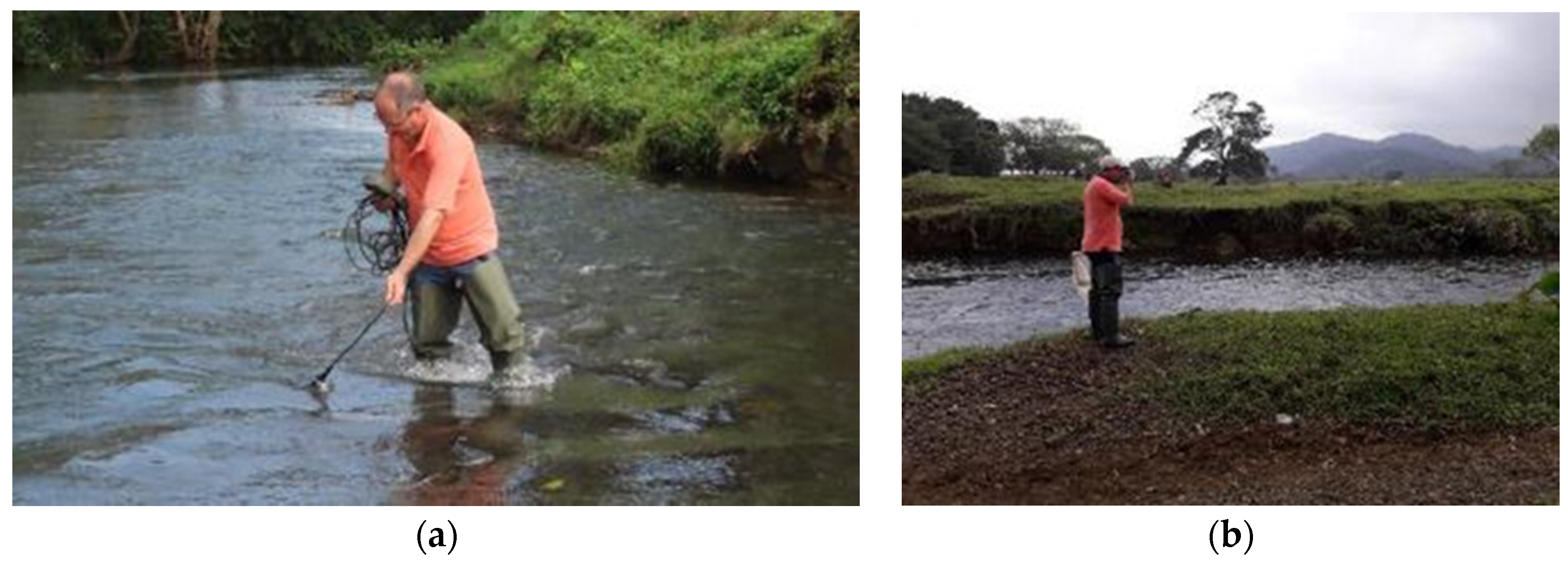 Diversity 16 00103 g0a16