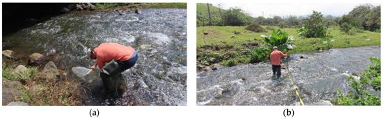 Diversity 16 00103 g0a17