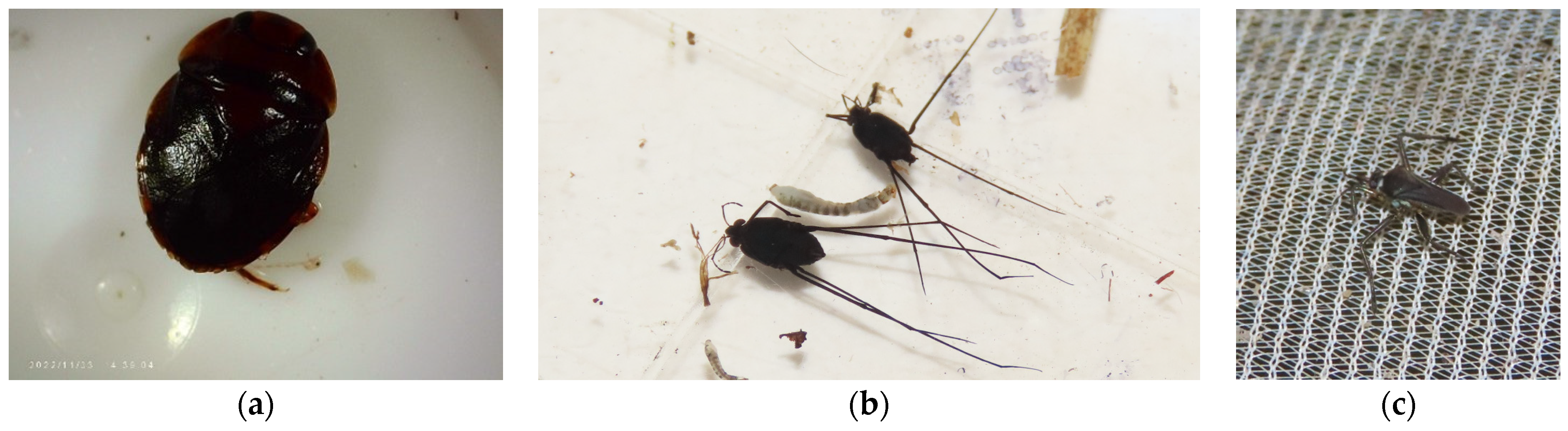 Diversity 16 00103 g0a8