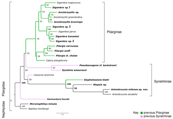 Diversity 16 00134 g0a1