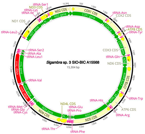 Diversity 16 00134 g0a10