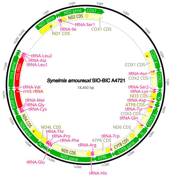 Diversity 16 00134 g0a11