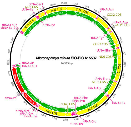 Diversity 16 00134 g0a12
