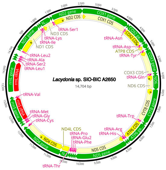 Diversity 16 00134 g0a13