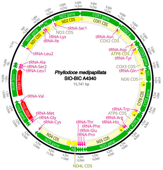 Diversity 16 00134 g0a14