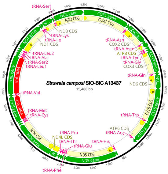 Diversity 16 00134 g0a15
