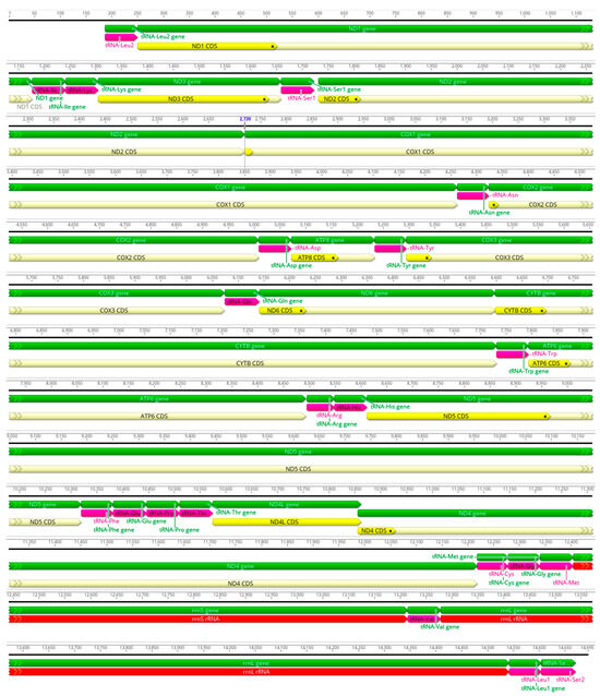 Diversity 16 00134 g0a16