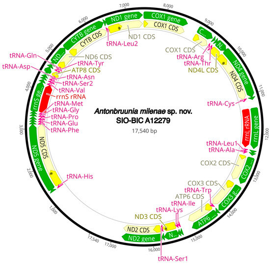 Diversity 16 00134 g0a2