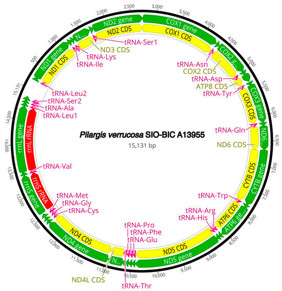 Diversity 16 00134 g0a3