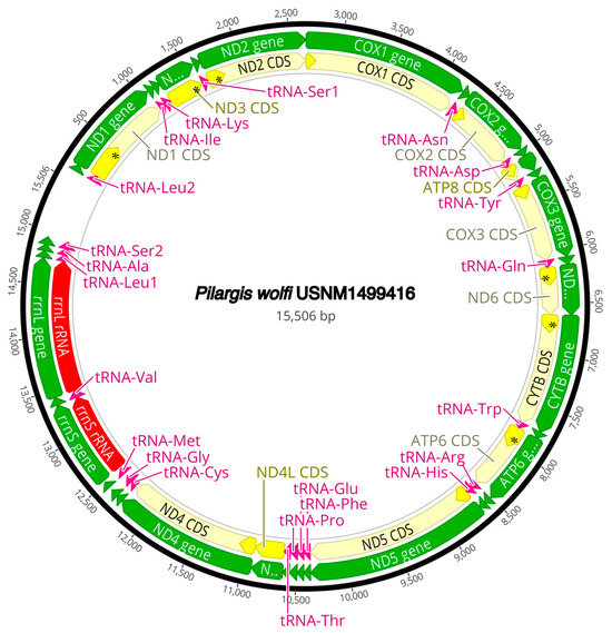 Diversity 16 00134 g0a4
