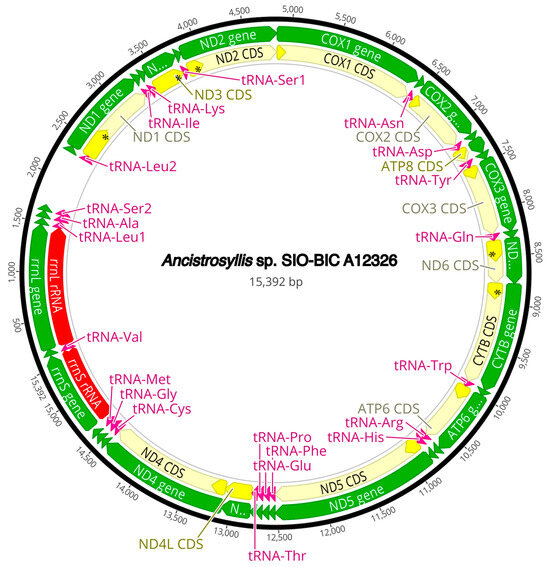 Diversity 16 00134 g0a5