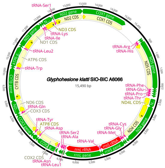 Diversity 16 00134 g0a6