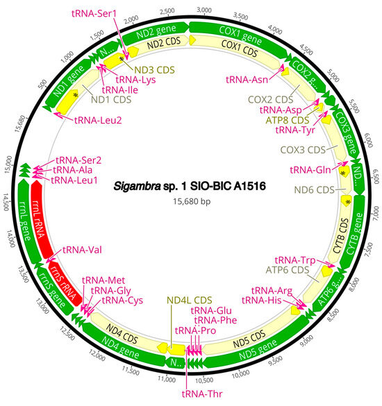 Diversity 16 00134 g0a8