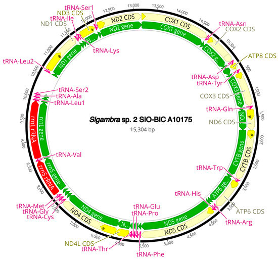 Diversity 16 00134 g0a9