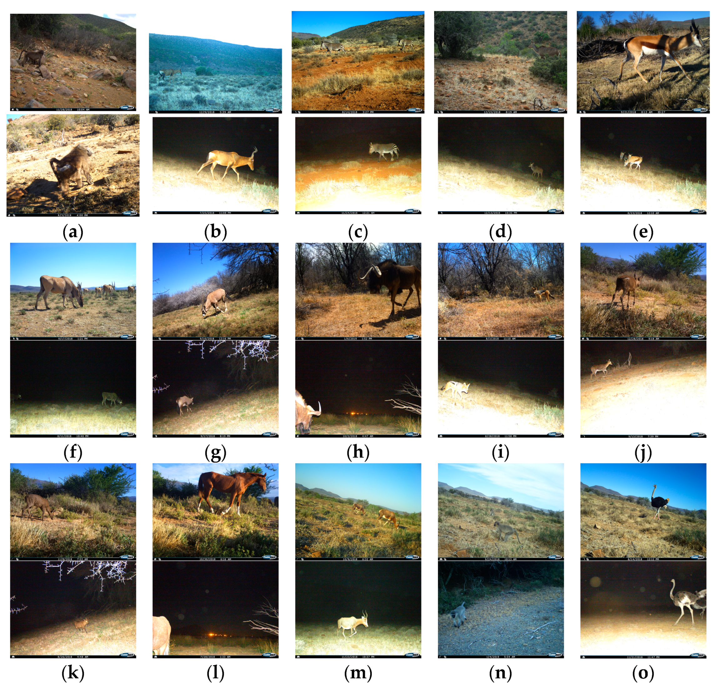 Diversity 16 00139 g007