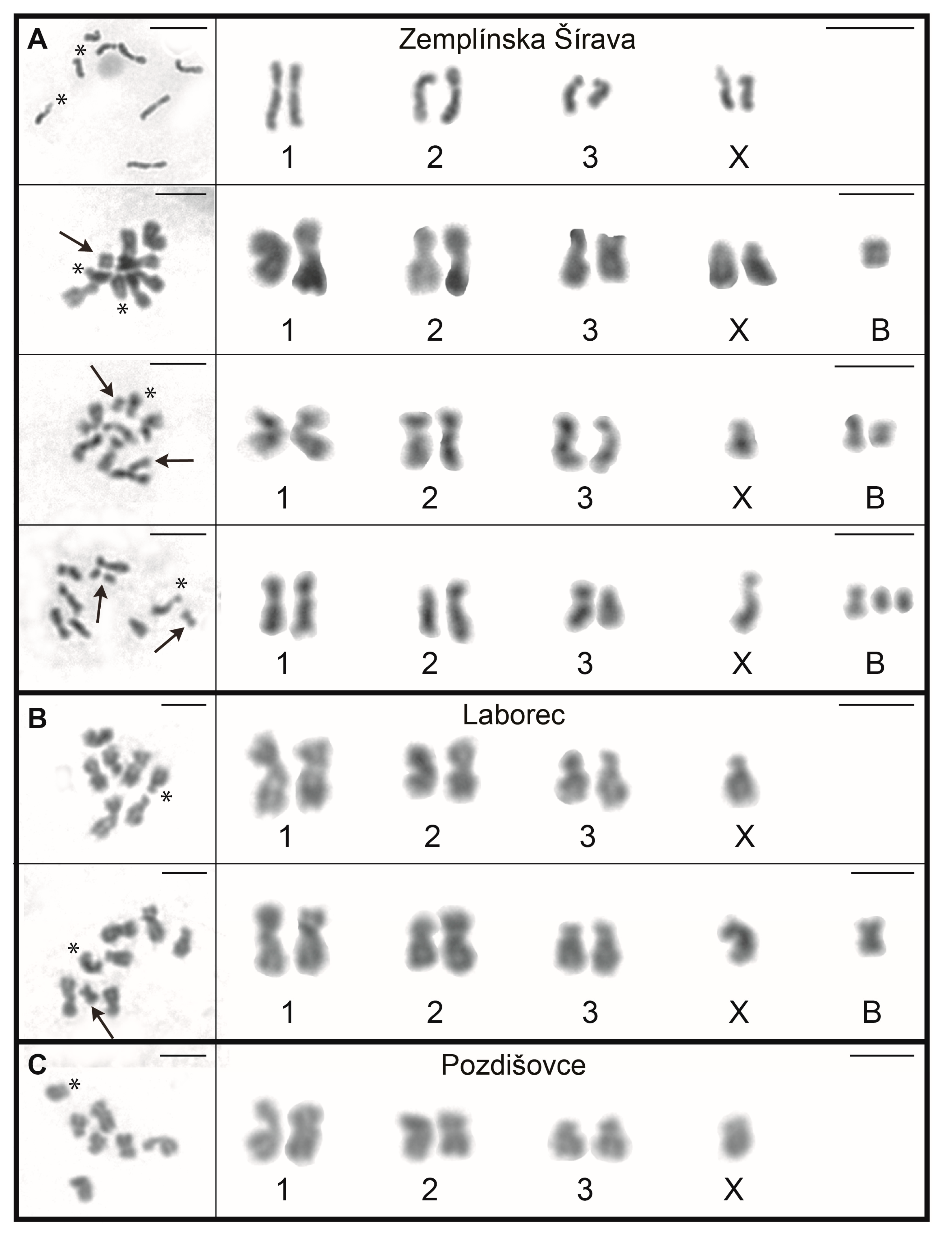 Diversity 16 00140 g001
