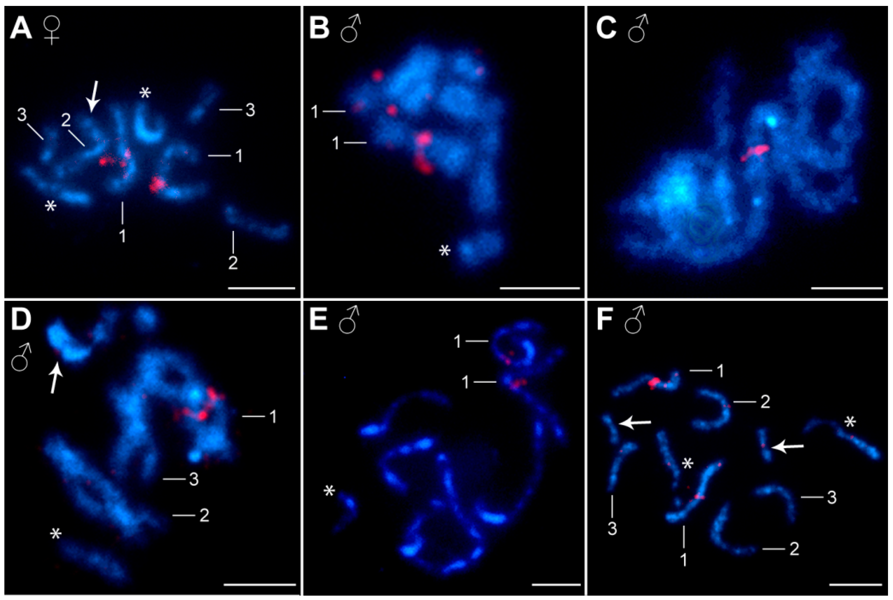 Diversity 16 00140 g003