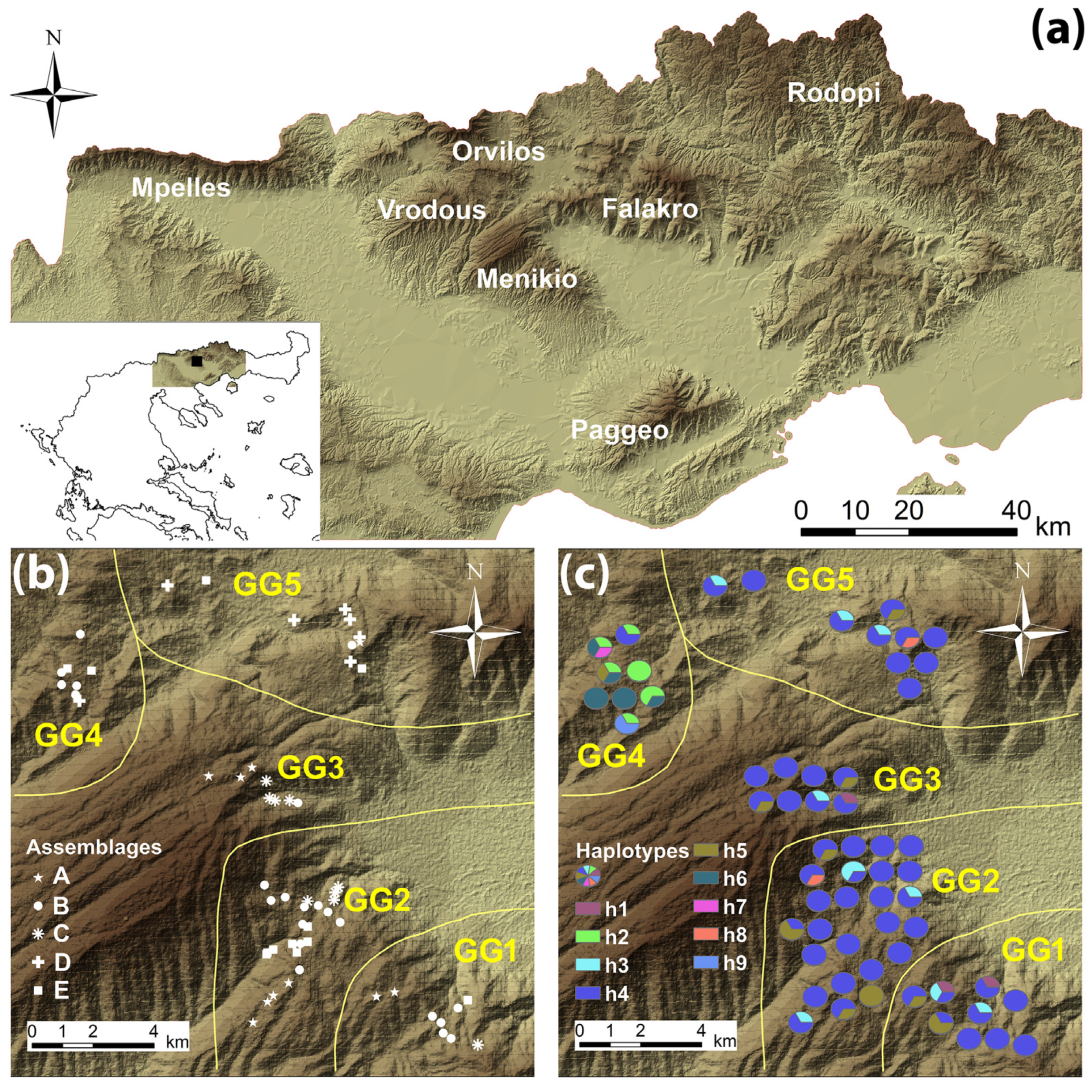 Diversity 16 00152 g001