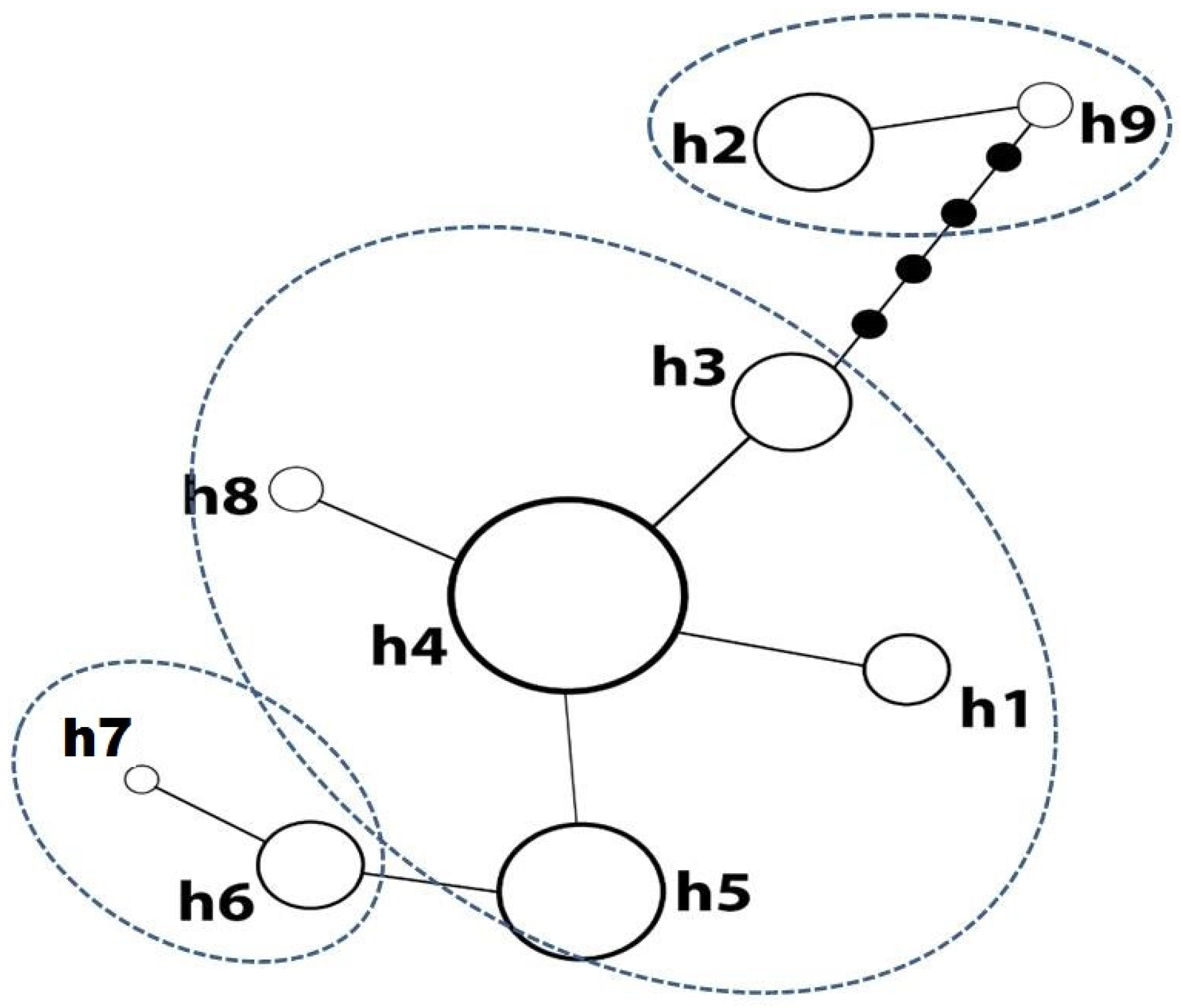 Diversity 16 00152 g003