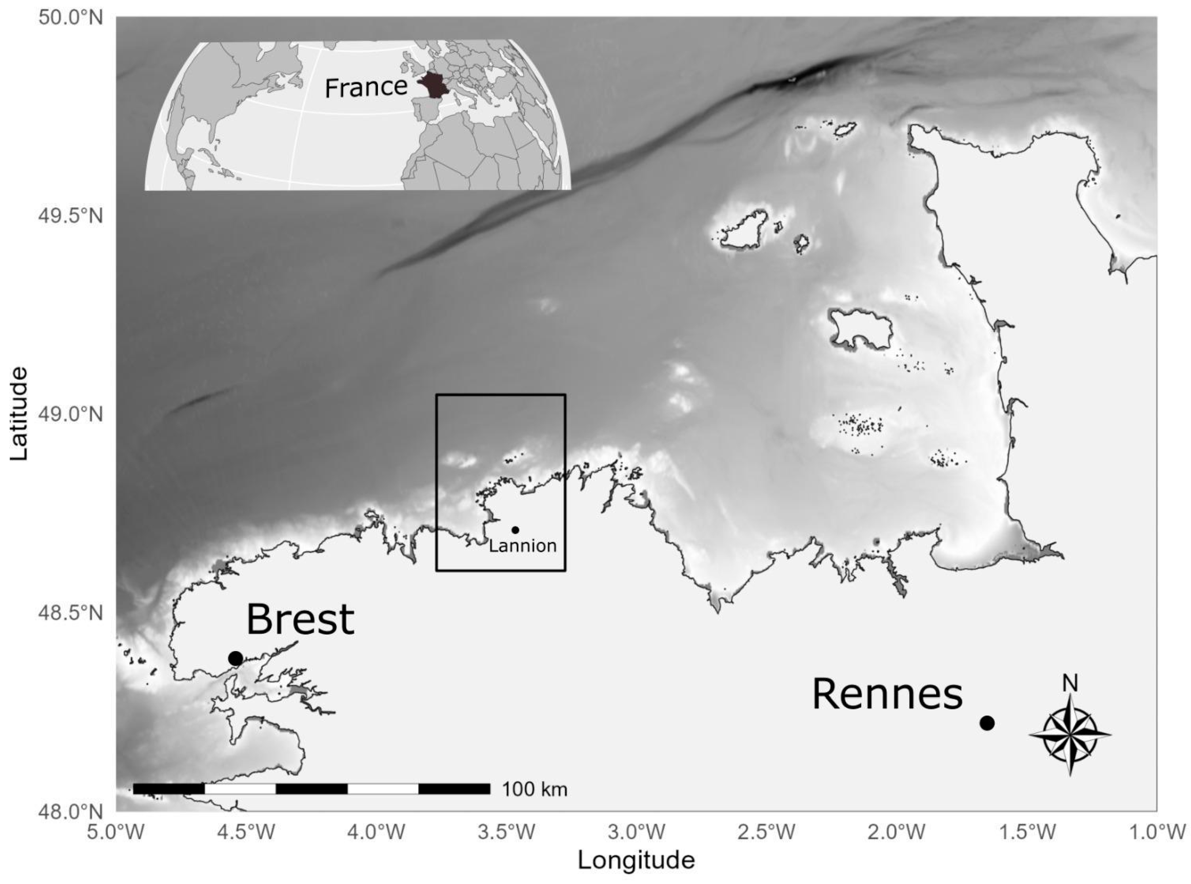 Diversity 16 00155 g001