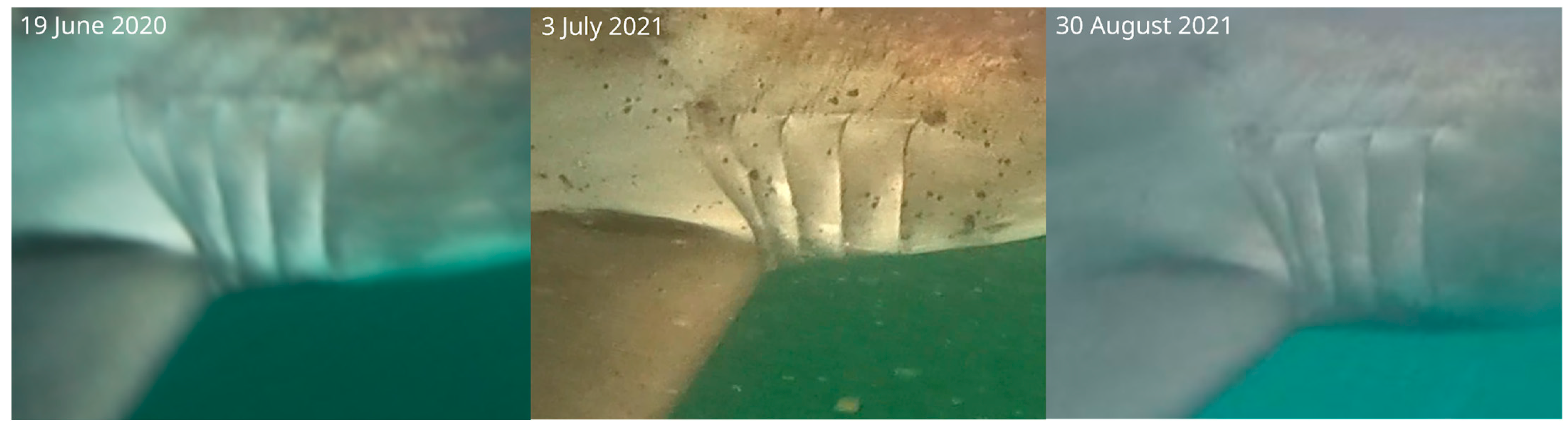 Diversity 16 00155 g007